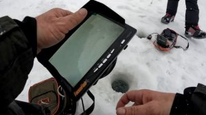 ЗИМНЯЯ РЫБАЛКА 2025. ЖЕНА ОТЖИГАЕТ! ТРУДОВАЯ ловля ФОРЕЛИ на АКТИВ. ФОРЕЛЕВАЯ ФЕРМА в селе Синеречка