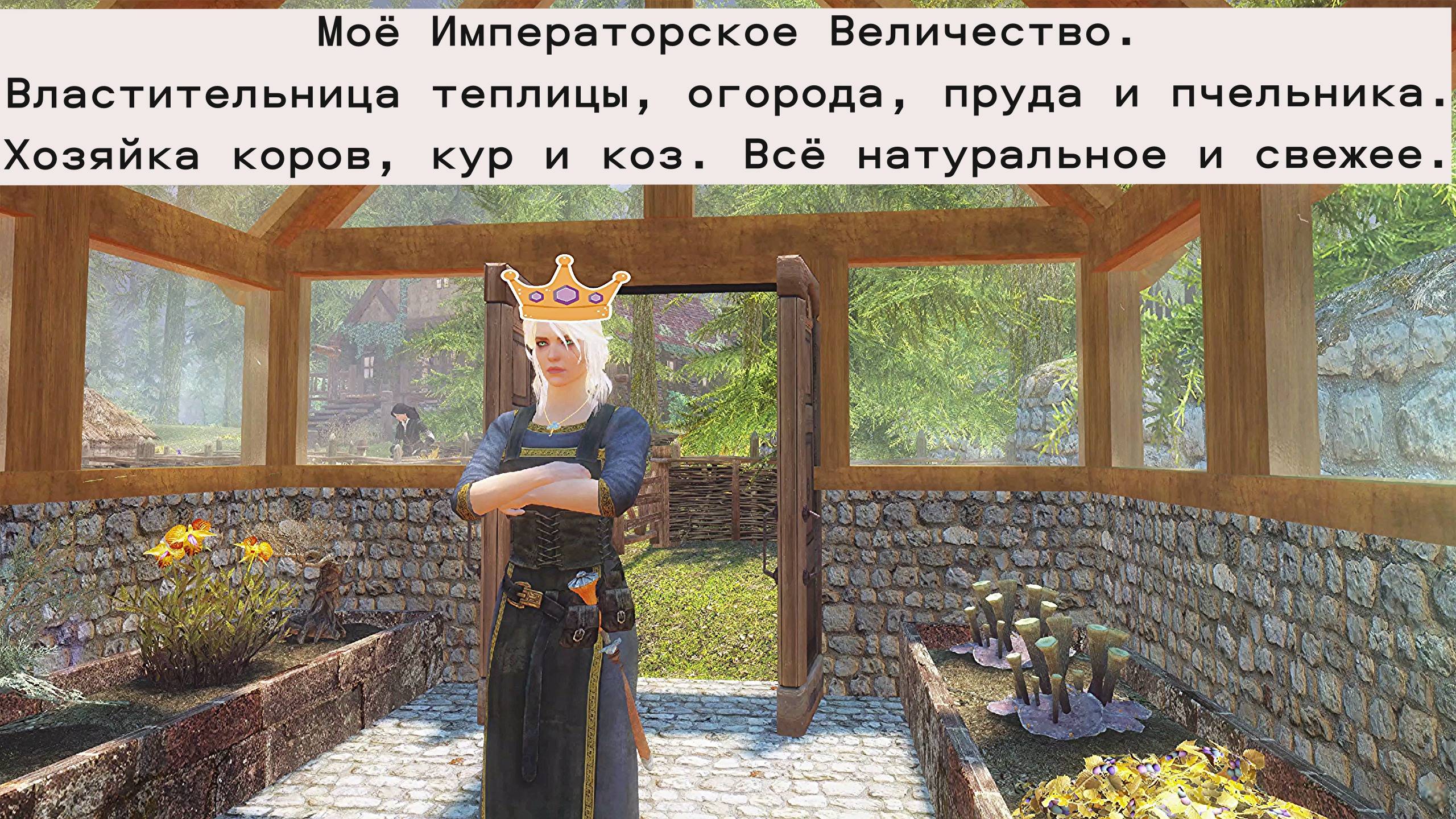Каноничная концовка по мнению Цири. Вариант Цири императрица