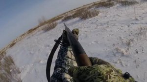 Охота на зайца 20.01.18 (hare hunting)