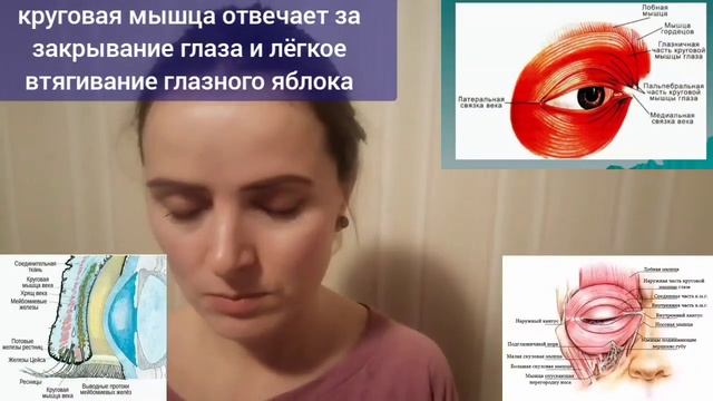Падает зрение, глаза деградируют из-за отмирания зрительного нерва? Расслабьте  сухожильное кольцо
