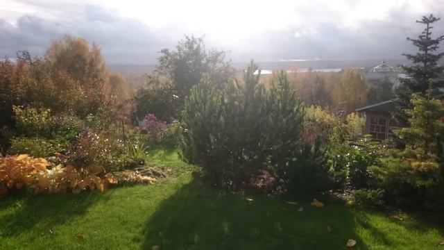 Дождь смотреть онлайн