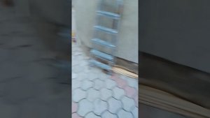 я и мой лучший друг