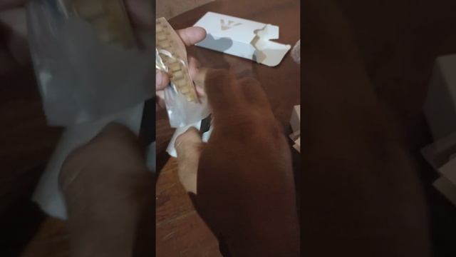 relógio nibose смотреть онлайн