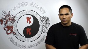 Kaizen Karate: Keep a Karate Journal