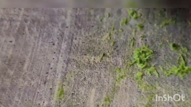 Мясо с овощами и картофелем, с пряными травами#готовиммясо#готовимовощи смотреть онлайн