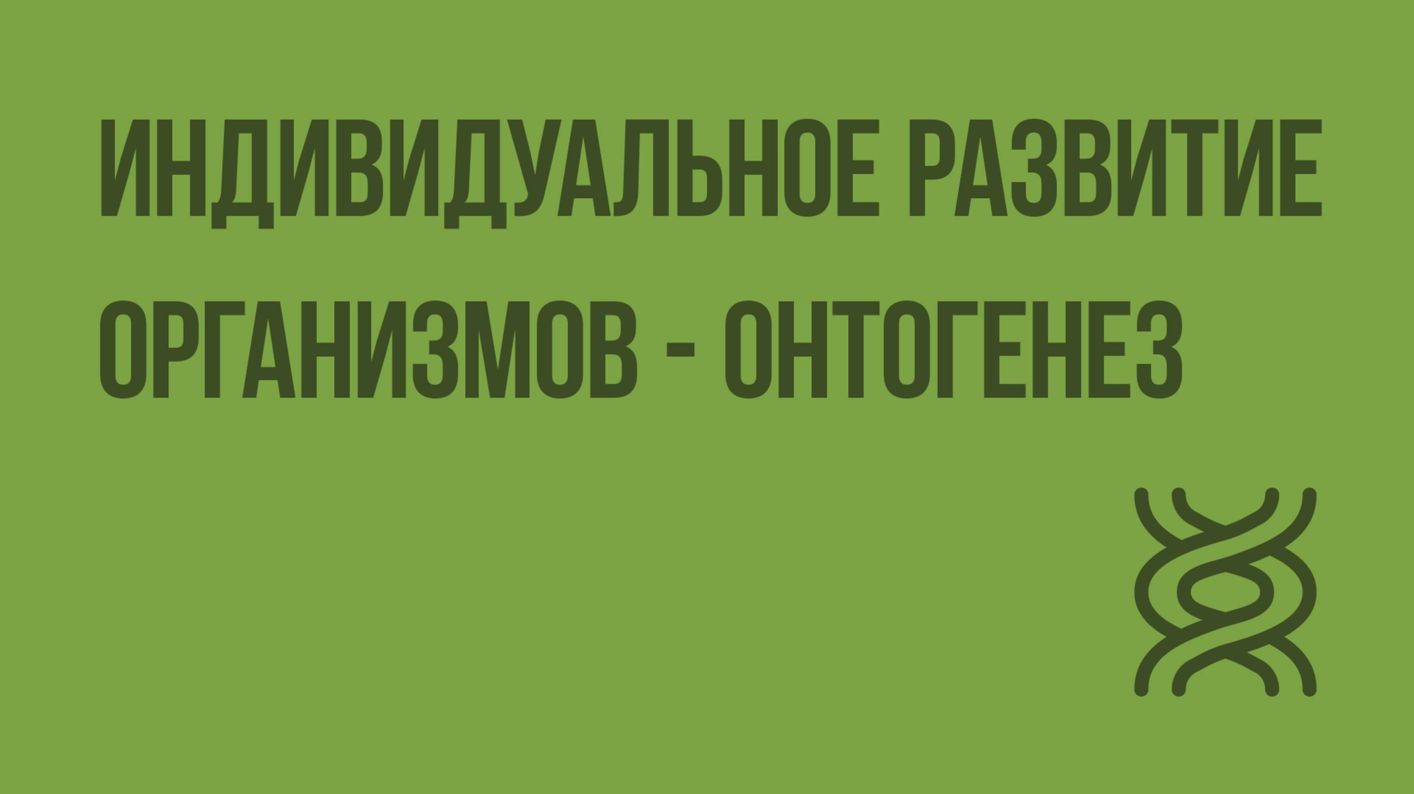 Индивидуальное развитие организмов - онтогенез. Видеоурок по биологии 9 класс