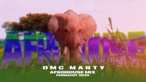 DMC MARTY - AFROHOUSE MIX FEBRUARY 2025