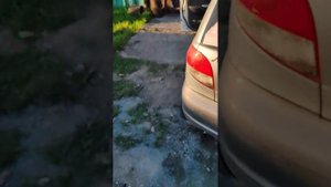 матиз неисправность реле поворота СИГ старлайн не тухнет поворотник при постановке на охрану. JJM2w