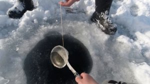 Крабалка март 2024