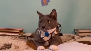 БЯ! БЯ! БЯ! 😂😂😂😂😂😂😂😂🤣🤣🤣🤣🤣🤣🤣🤣