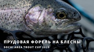 Прудовая форель на блесны. Sochi Area Trout Cup 2025