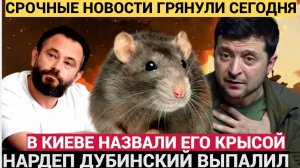 ВЕСЬ КИЕВ СМЕЕТСЯ! В Раде сравнили Зеленского с облезлой крысой