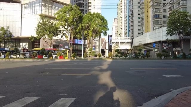 【广州漫步粤菜美食探店】意想不到！！点心！激抵！8元凤爪！2人消费57元！廉价又美味！市场买菜！30元半只鸡！太好吃了！值得一试！最受欢迎！慢生活！Canton Food Tour｜GuangZho