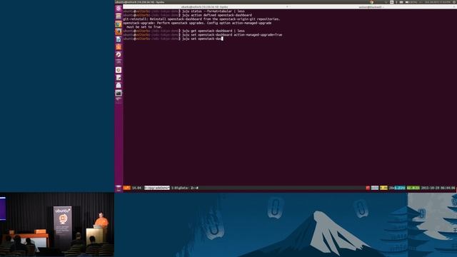 Canonical - Amazing Operations 201: In Place Upgrades of OpenStack With Running Workloads