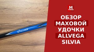 Бюджетное маховое удилище - ALLVEGA SILVIA