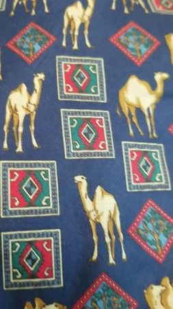 Camel tie for our lesson on deserts