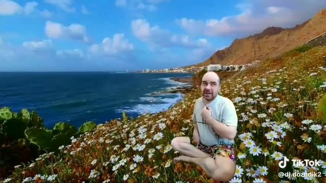 ромашковое поле