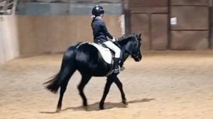 Наоми и Лера, ППДА 63,125%, проведение соревнований. #horse #equestrian #лошади #pony