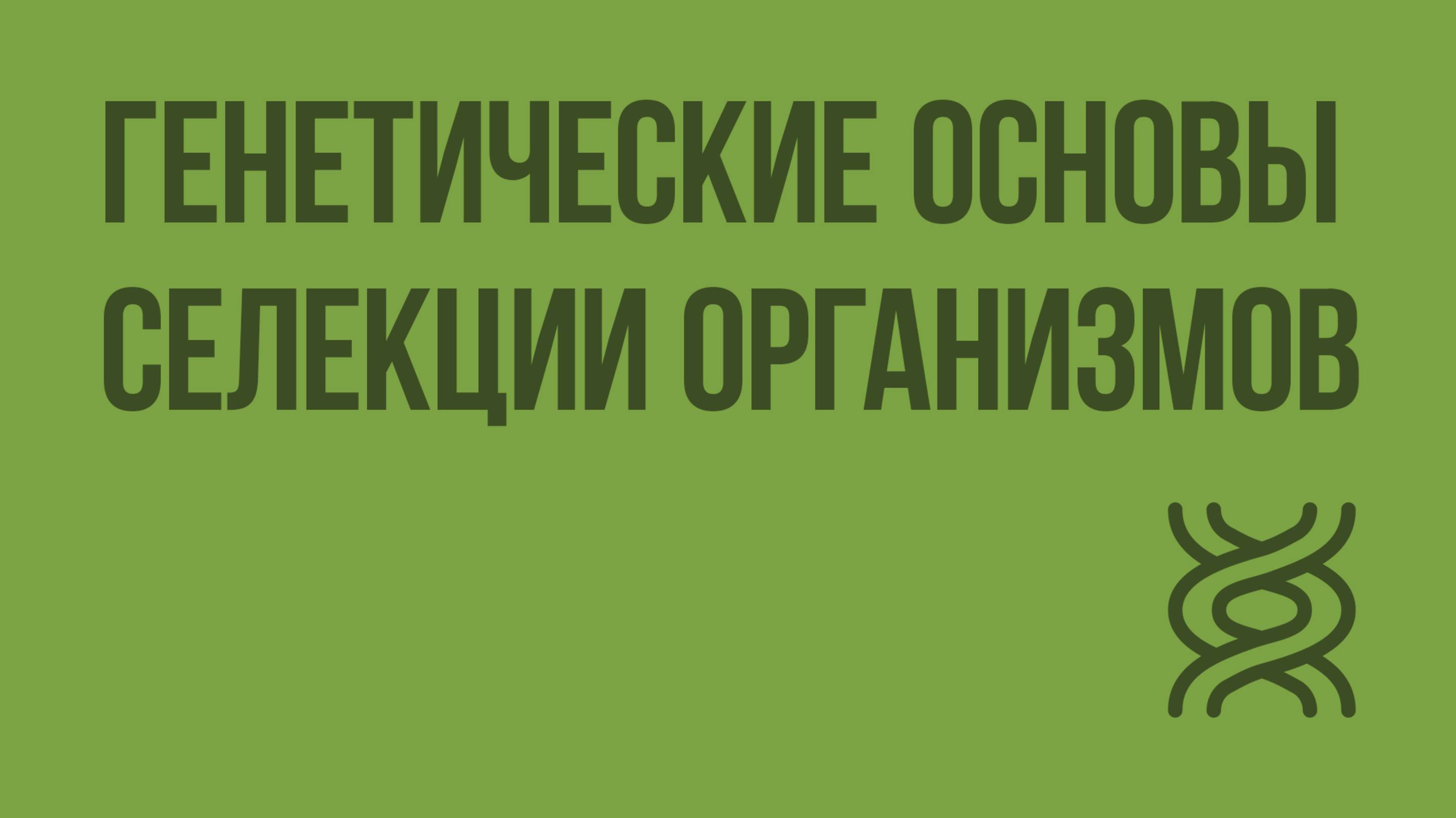 Генетические основы селекции организмов. Видеоурок по биологии 9 класс
