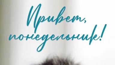 Весёлое поздравление с понедельником с #котятами #понедельник