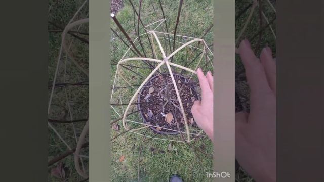 Красивая опора для гортензий и других растений.