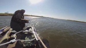 Сом на 39 кг на тонкую снасть . Часть 1  Волга. База Ветлянка. Алексей и Юрий Философ