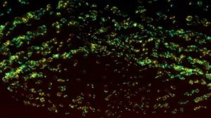 Дмитрий с Днём рождения