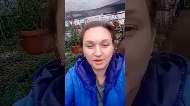 "Цветочный бизнес" - это дискретная математика, запомните!!!!