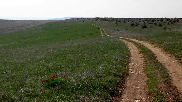 №169. 2 серия ВИДЕО