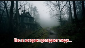 СТРАШНЫЕ ИСТОРИИ | Страшный лес