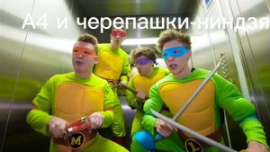 А4 и черепашки-ниндзя.