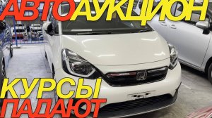 ЯПОНЦЫ ТОЛЬКО РАДЫ УКРЕПЛЕНИЮ РУБЛЯ  _ HONDA FIT SHUTTLE  TOYOTA COROLLA AXIO RAIZE RENAULT CAPTUR