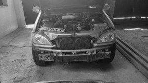 зайчик шнуфель - тусовка зайцев (bunny party)