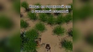 Когда ел гороховый суп в школьной столовой #shorts #приколы #шрек