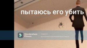 когда увидел паука днём и ночью #меллстрой #200$