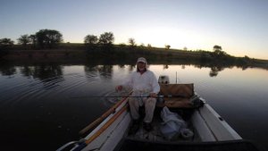 Сомик любит  куриную печень. Квок с круглым пятачком канал  Весна от Юрия Философа