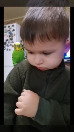 Кеша и Мирослав.mp4