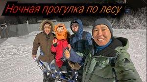 Ночная прогулка по лесу