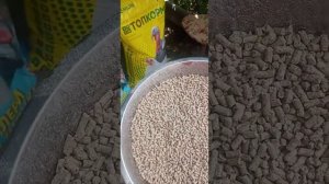 Обзор кормов для бройлеров