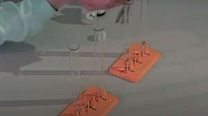 Скорость химической реакции. Теория для ОГЭ/ЕГЭ по химии.