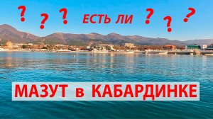 МАЗУТ В КАБАРДИНКЕ НЕ НАЙДЕН! Рыбалка в море. Как приготовить ставриду.