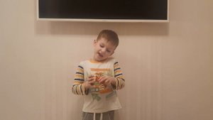 обзор тобота X