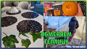 Разжилась черенками. ТАКОГО Января НЕ ПОМНЯТ здешние места!. ОБНОВКИ с WB для внука и кухни.