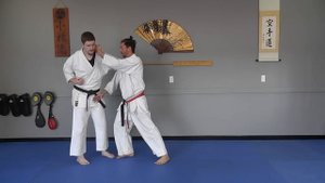 Waza Wednesday 1/11/17 - Naihanchi Nidan Oyo Bunkai with Added Strikes