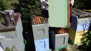 навожу порядок на лесном точке