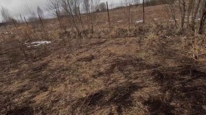 Путешествие в феврале в Бешенково