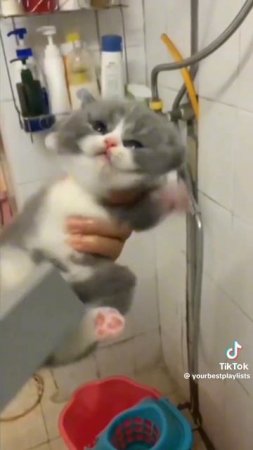 1000004575.mp4