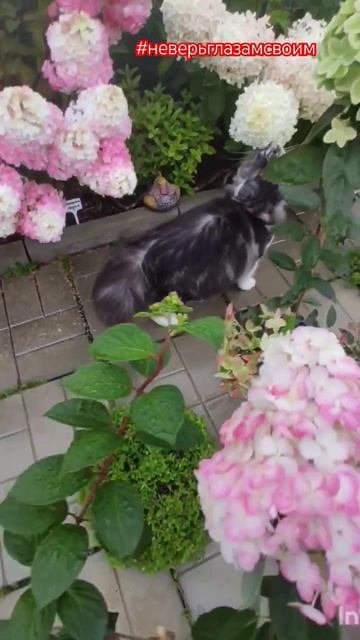 Как нас обманывают на Wildberries или не верь глазам своим.