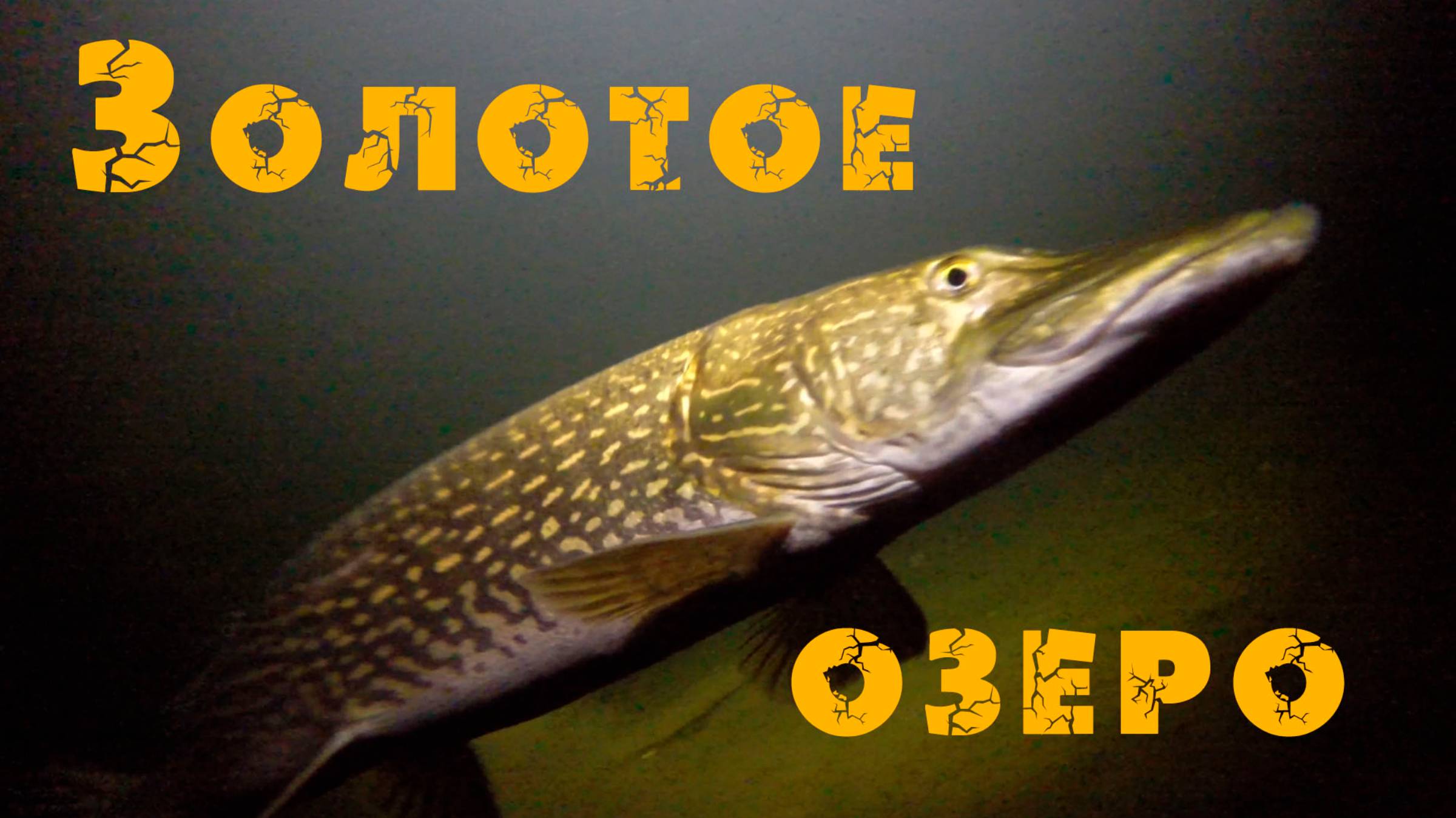 Золотое озеро Телецкое. Алтайский заповедник. 500 летние кедры-великаны. Подводный мир. Горный Алтай смотреть онлайн