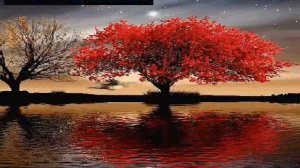 Bilal HANCI & Mustafa CECELİ - rüzgar